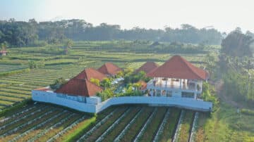 Einzigartiges Anwesen mit 8 Schlafzimmern, umgeben von Reisfeldern in Ubud