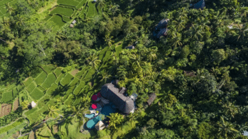 बाली पर सर्वश्रेष्ठ दृश्य | 5 बेडरूम के साथ 12 विला संपत्ति | उबड | होटल विकल्प