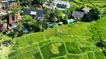 Exclusive Trio of Luxury Villas in Seseh, Bali – A Serene Family Retreat with Protected Greenzone Views